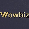 ��������� ���������� ������-������ WOWBIZ 2025